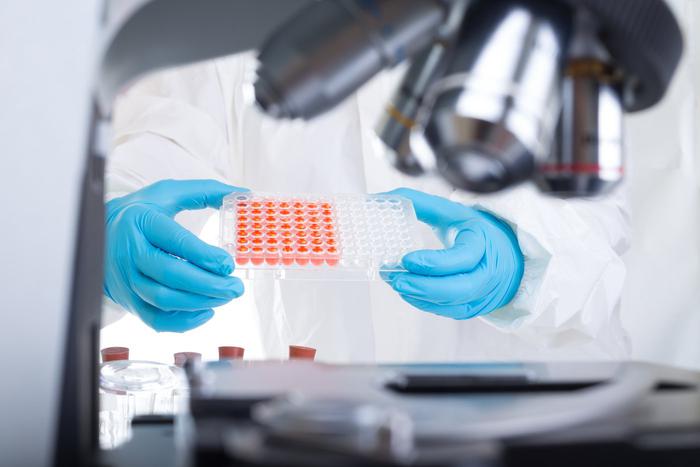 В Калининградской области в одном из детских лагерей зафиксировано массовое заражение детей кишечной палочкой