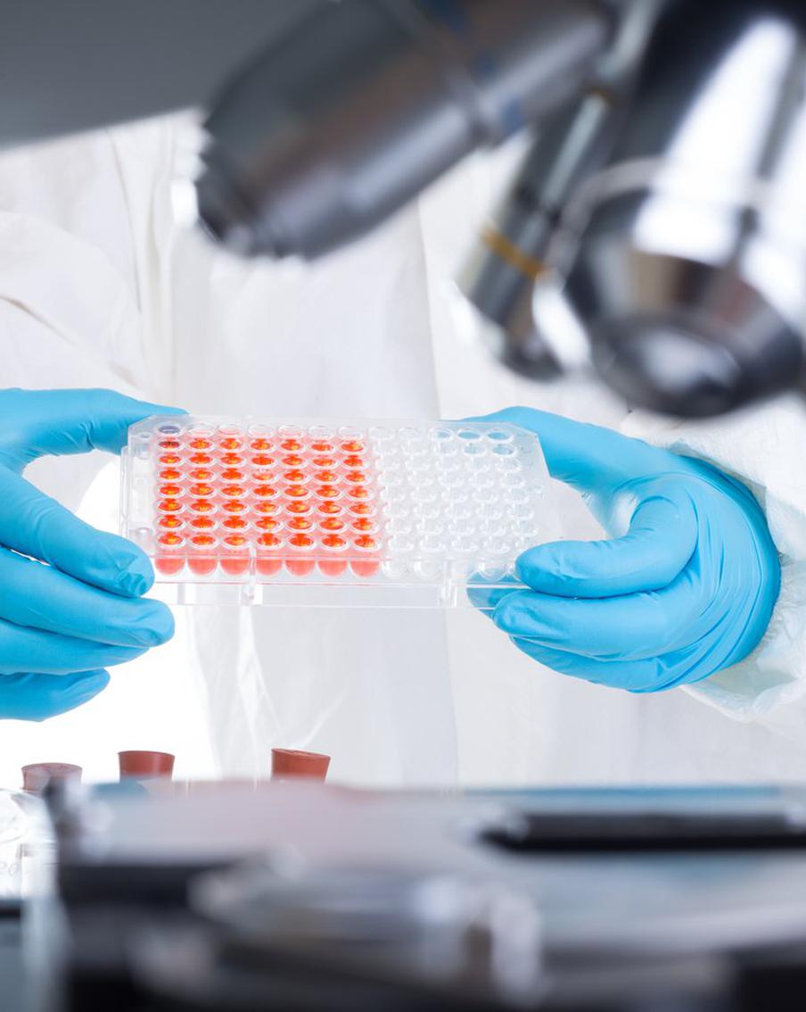 В Калининградской области в одном из детских лагерей зафиксировано массовое заражение детей кишечной палочкой