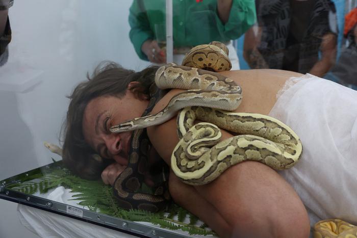 Новая мода у столичных звезд – ложиться в аквариум со змеями