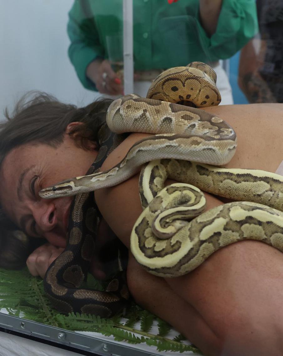 Новая мода у столичных звезд – ложиться в аквариум со змеями