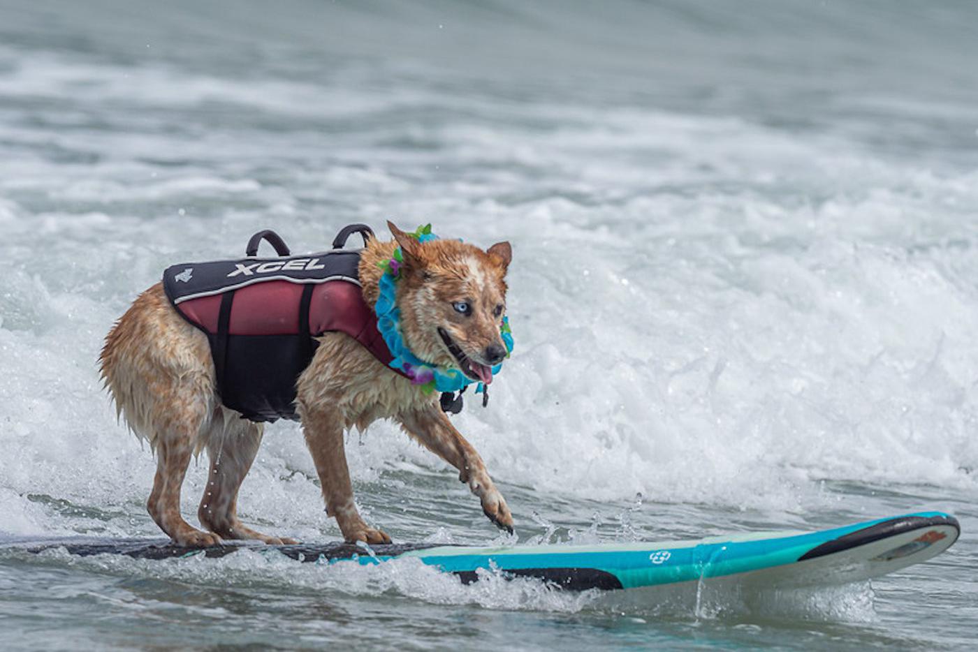 Фото с чемпионата.