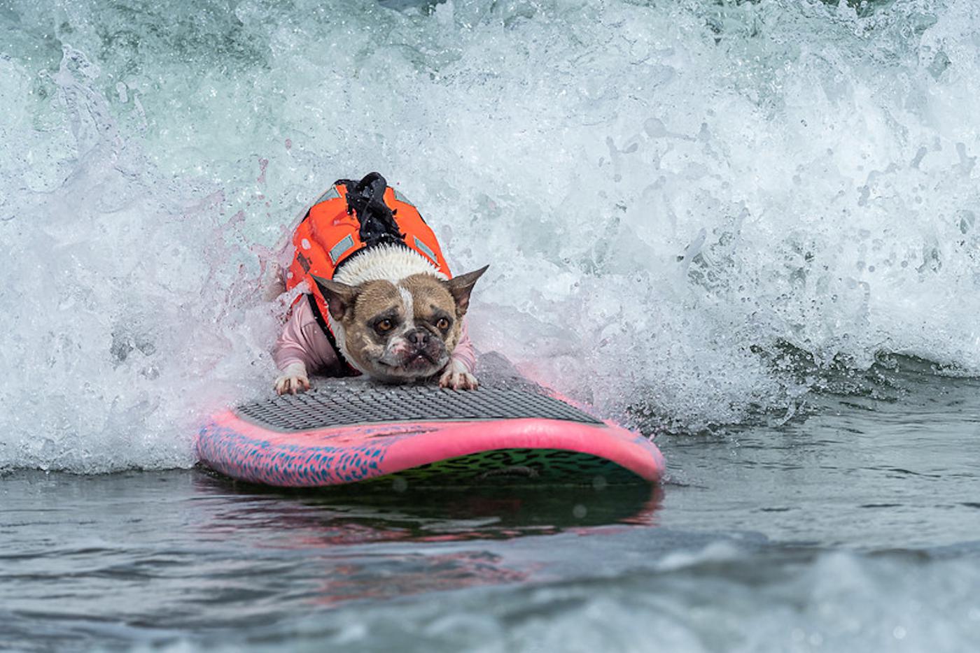 Фото с чемпионата.