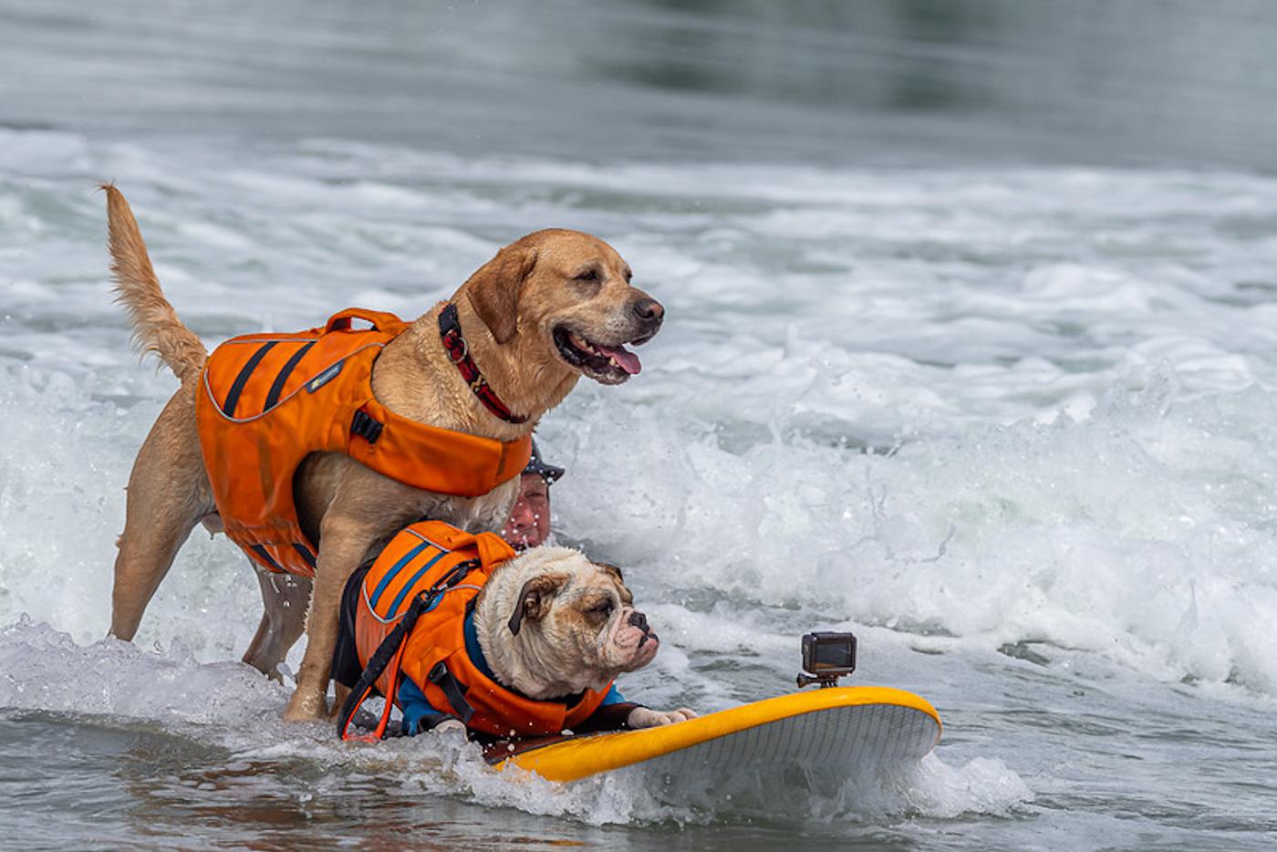 Фото с чемпионата.