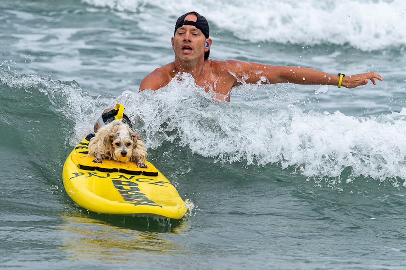 Фото с чемпионата.