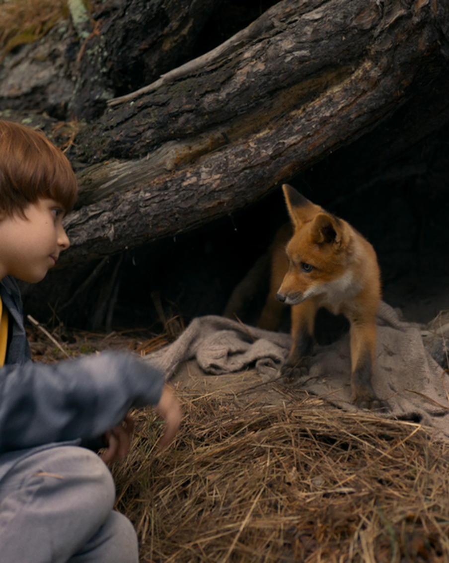 В ответе за тех, кого приручили, напоминает "Мой дикий друг". На экранах – семейный фильм о дружбе мальчика и спасённого лисёнка