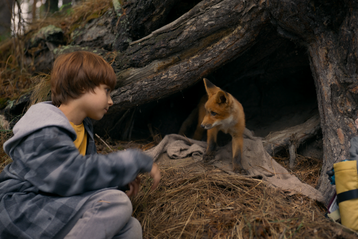 В ответе за тех, кого приручили, напоминает "Мой дикий друг". На экранах – семейный фильм о дружбе мальчика и спасённого лисёнка