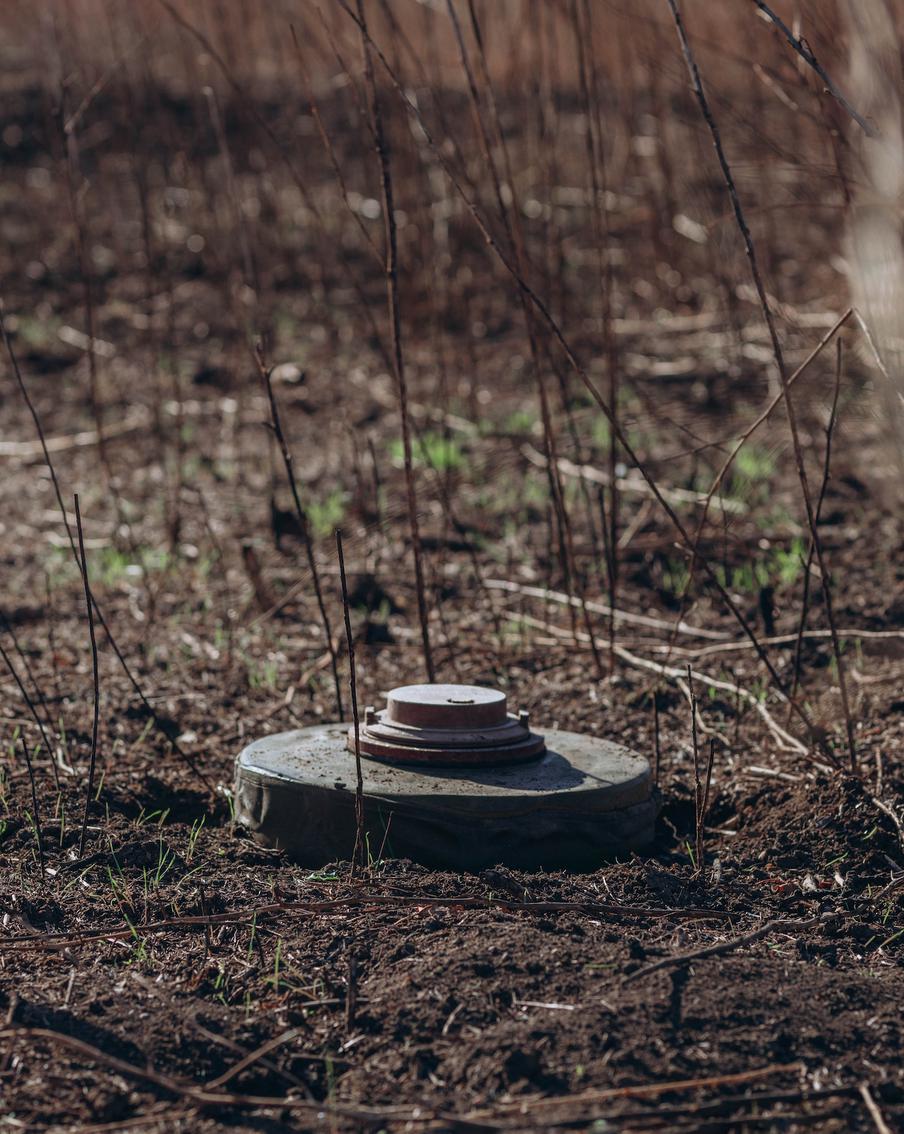 В России появится приложение, которое поможет отслеживать мины