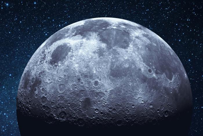 Дуров и Маск могут воспользоваться идеей американцев с отправкой ДНК на Луну