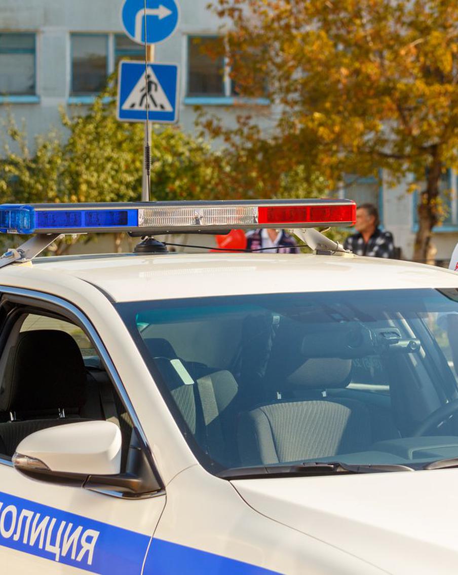 МВД увеличило вознаграждение за сведения о пропавших почти 20 лет назад под Псковом детях