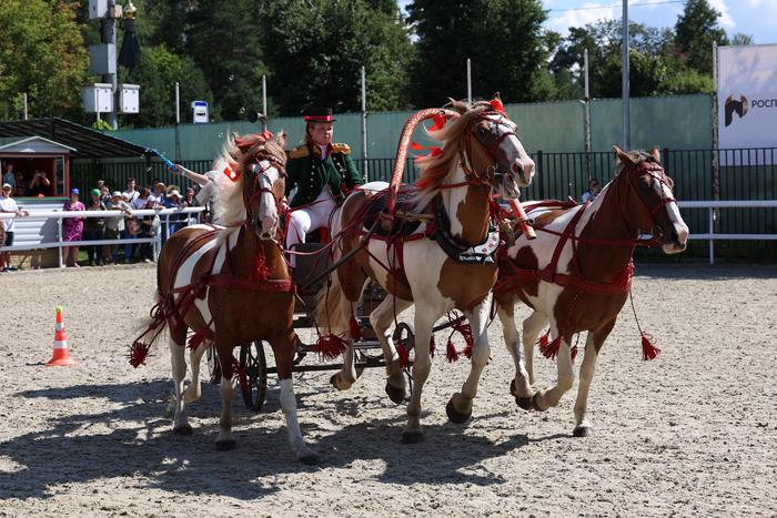 Москвички надели лучшие шляпки ради русских троек