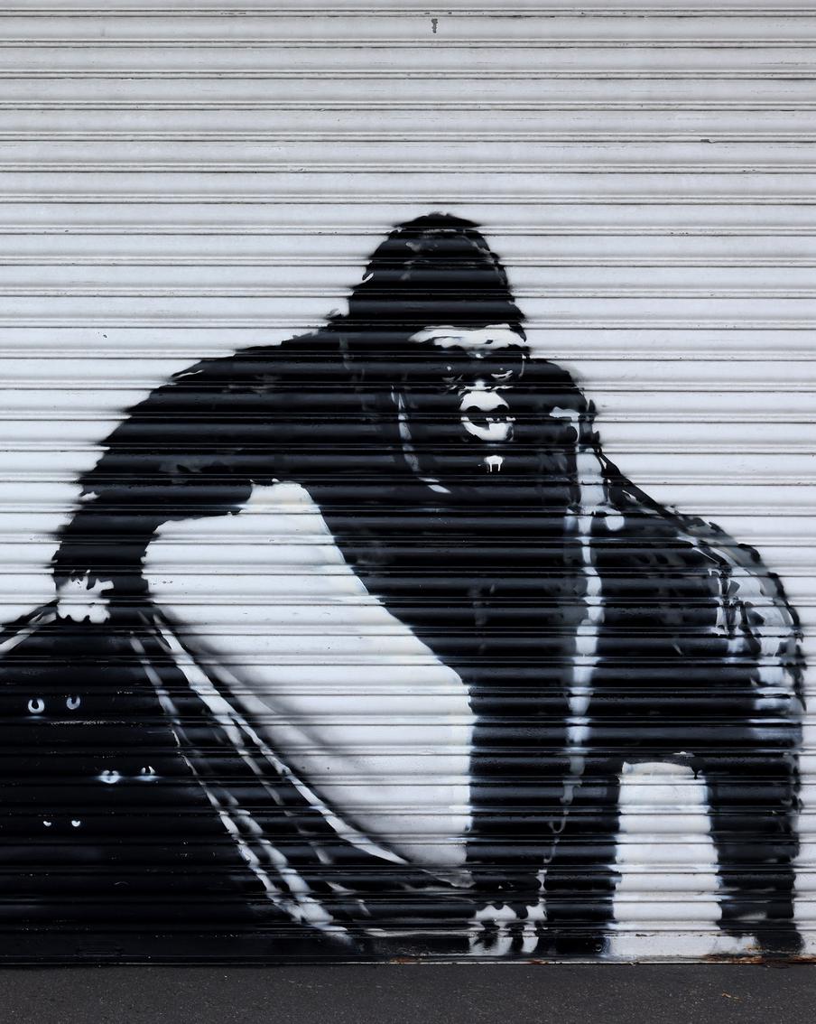 Кто напал на носорога: Бэнкси устроил в Лондоне зоомарафон