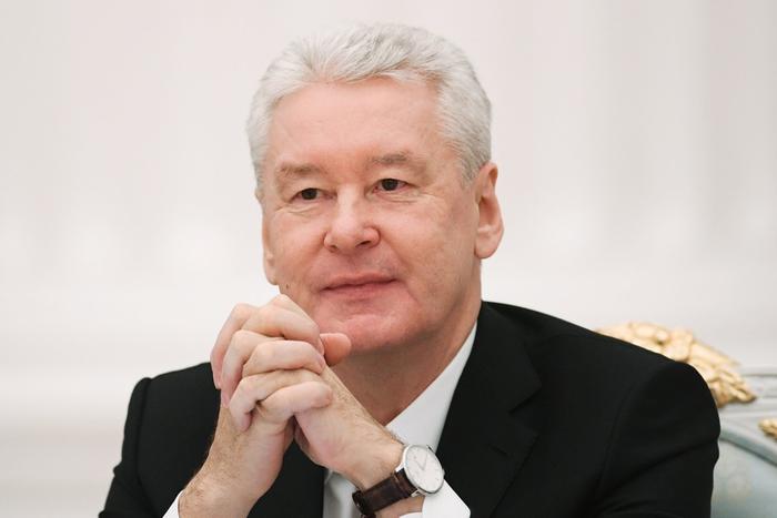 Собянин: более 4 тысяч деревьев было высажено на магистралях Москвы в 2023 году