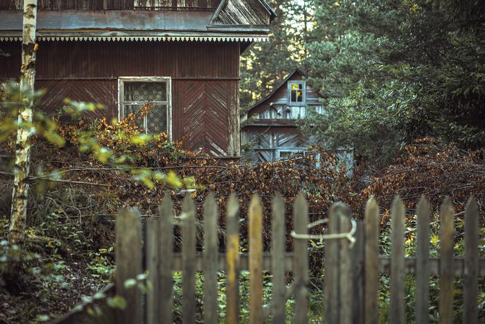 В каких случаях у дачников могут изъять участок. Рассказывает юрист