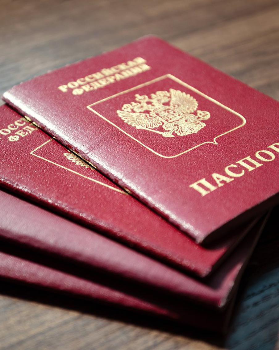 Многодетная семья из США получила свидетельство о временном убежище в России