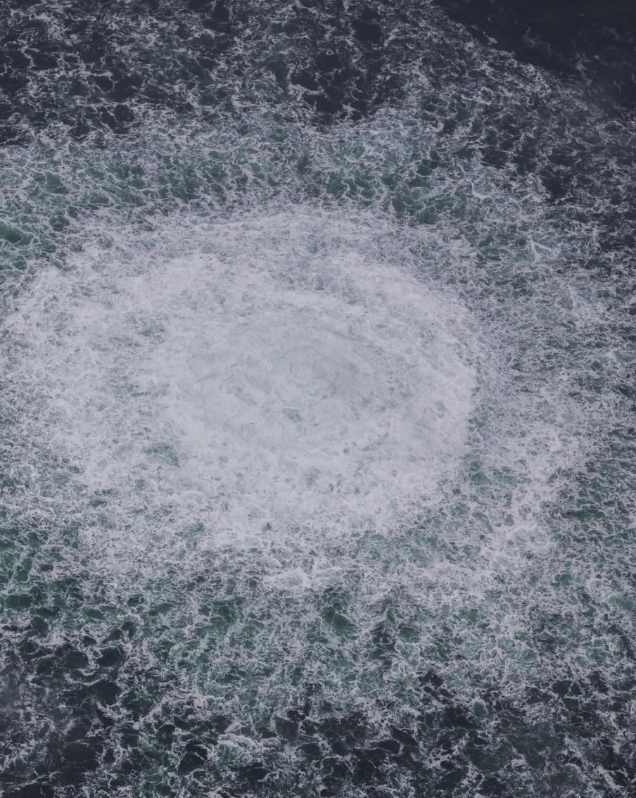 Немцы назвали подозреваемого в подрыве "Северных потоков" – им оказался украинец