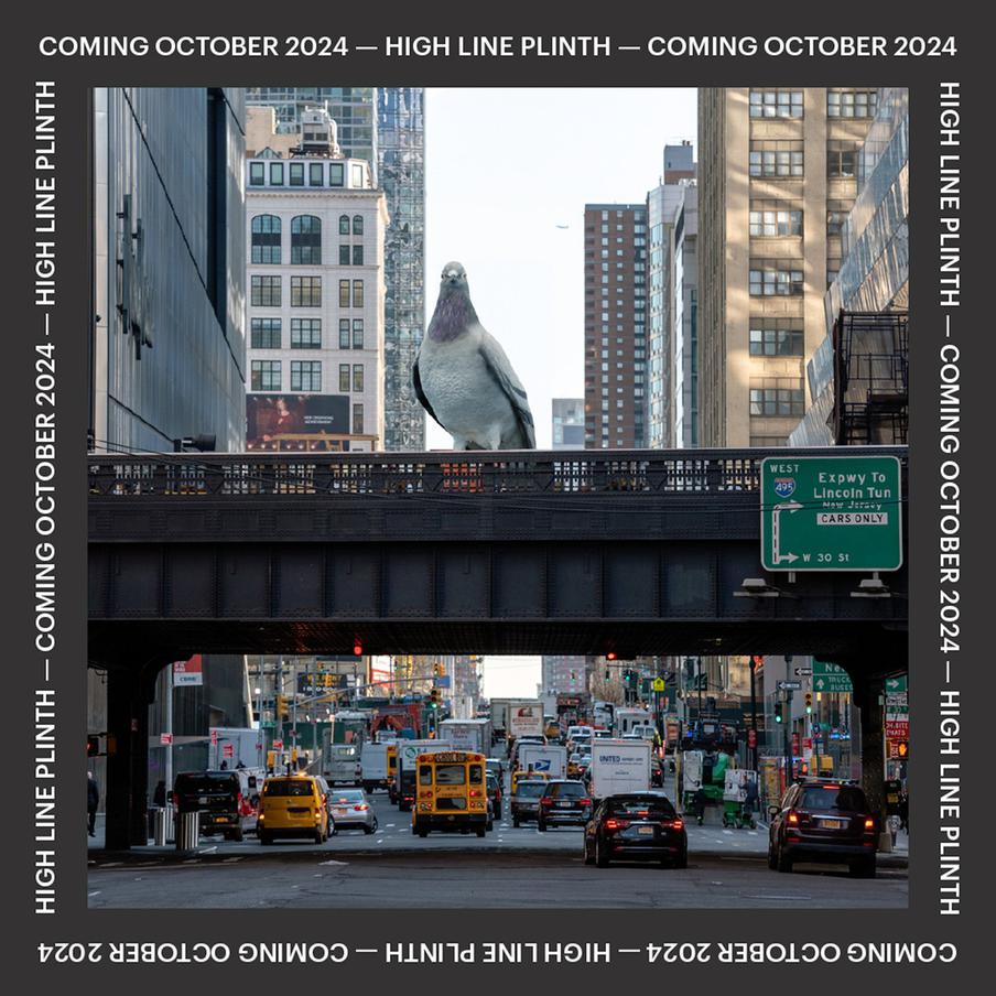 Голубь смотрится очень эффектно.