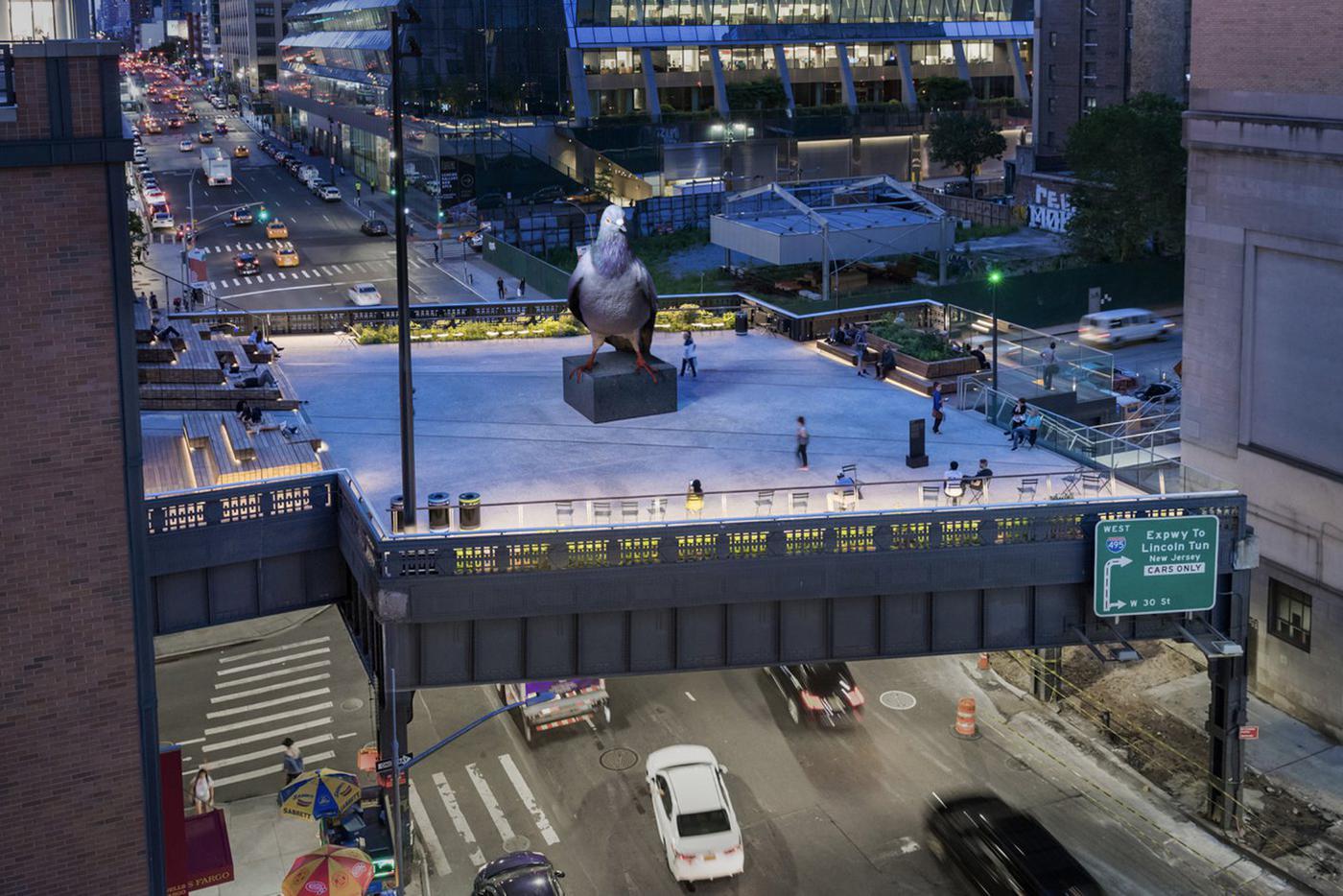 Голубь смотрится очень эффектно.