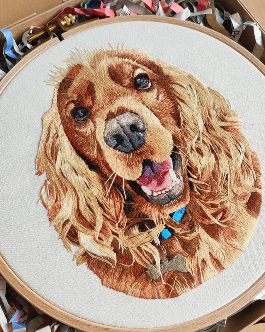 Мастер ручной вышивки из Уругвая создаёт реалистичные портреты домашних питомцев