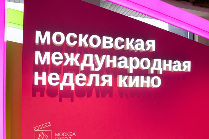 Анатолий Цой и Саша Стоун рассказали, как лидеры мнений формируют отношение к международным медиапроектам