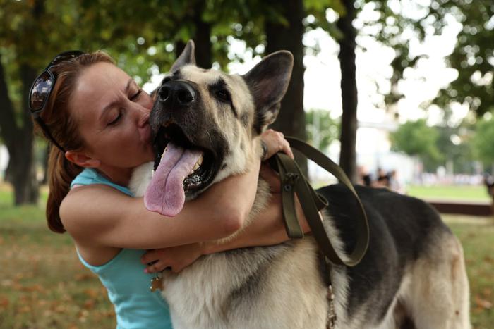 На роль Мухтара взяли хорошего мальчика. В Москве прошёл собачий кастинг