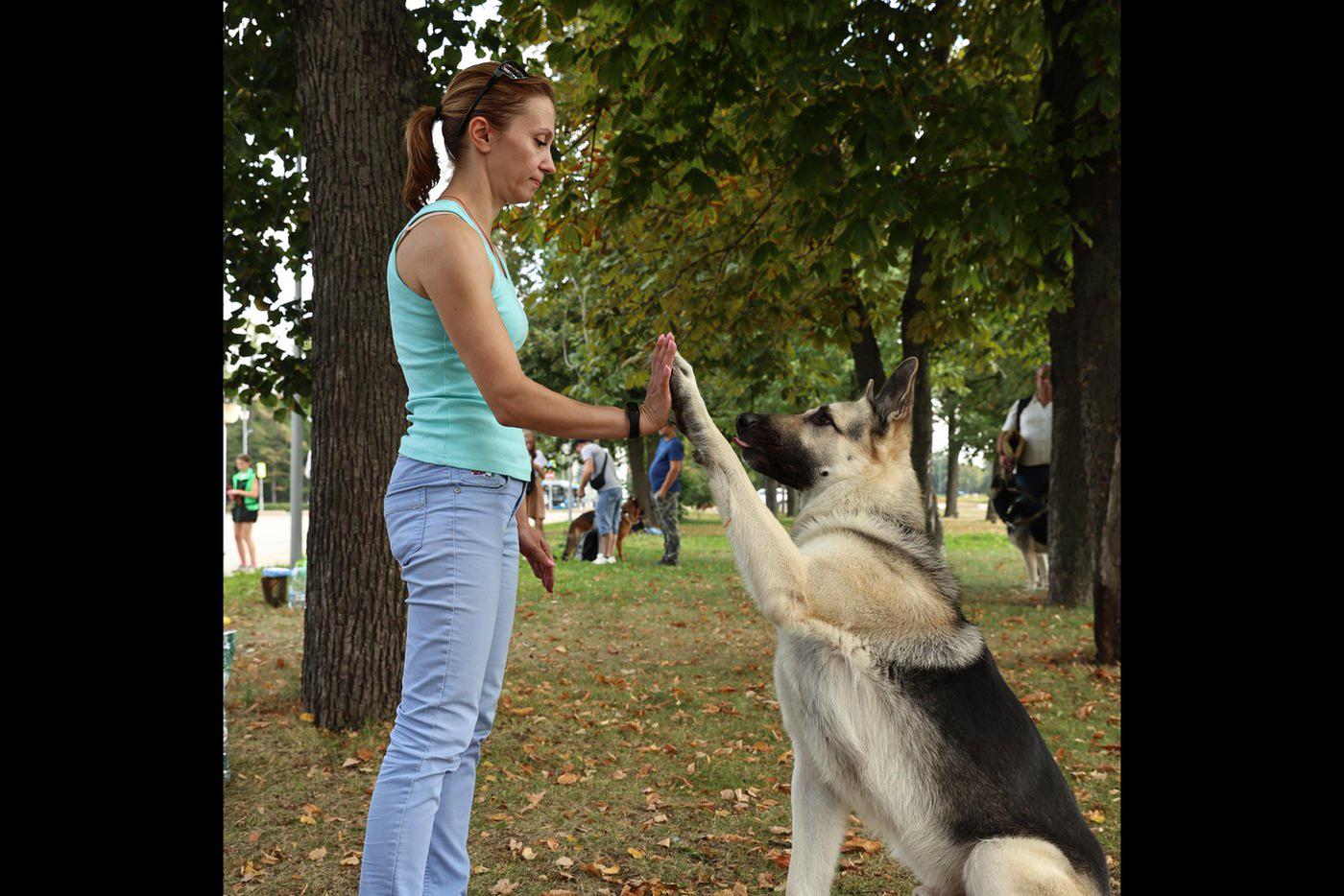 Претенденты на роль Мухтара