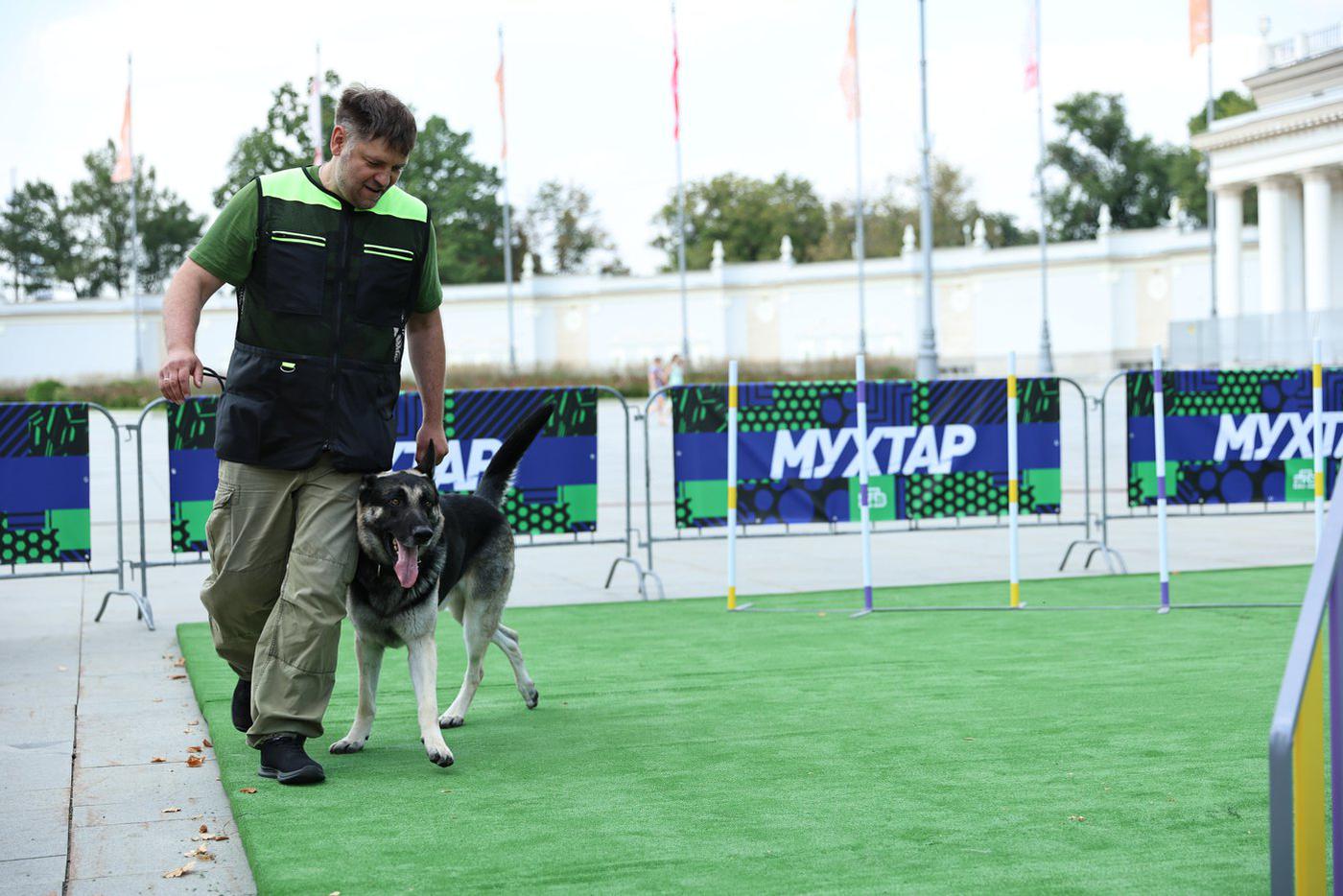 Претенденты на роль Мухтара