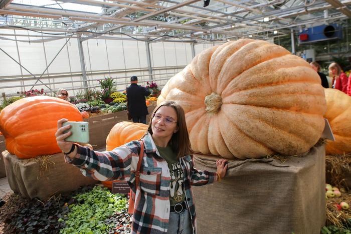 Громко переворачиваем календарь и бежим к тыкве-гиганту