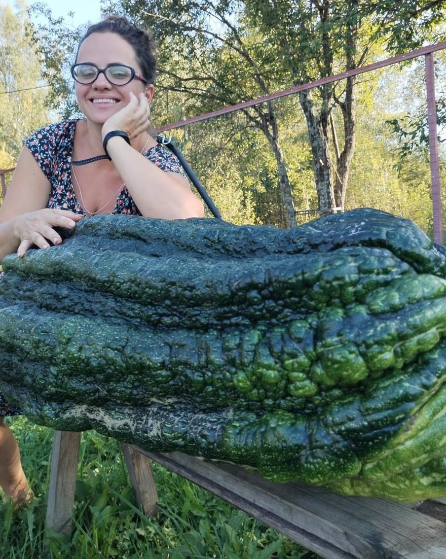 Россиянка вырастила 50-килограммовый кабачок у себя в огороде