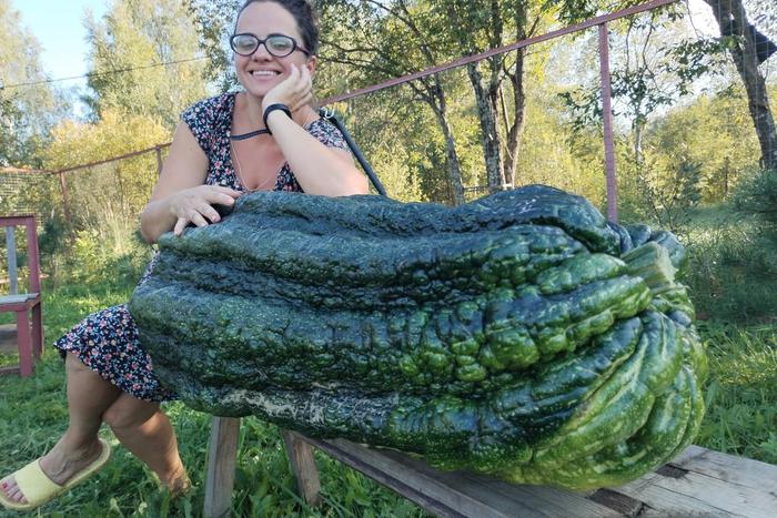 Россиянка вырастила 50-килограммовый кабачок у себя в огороде