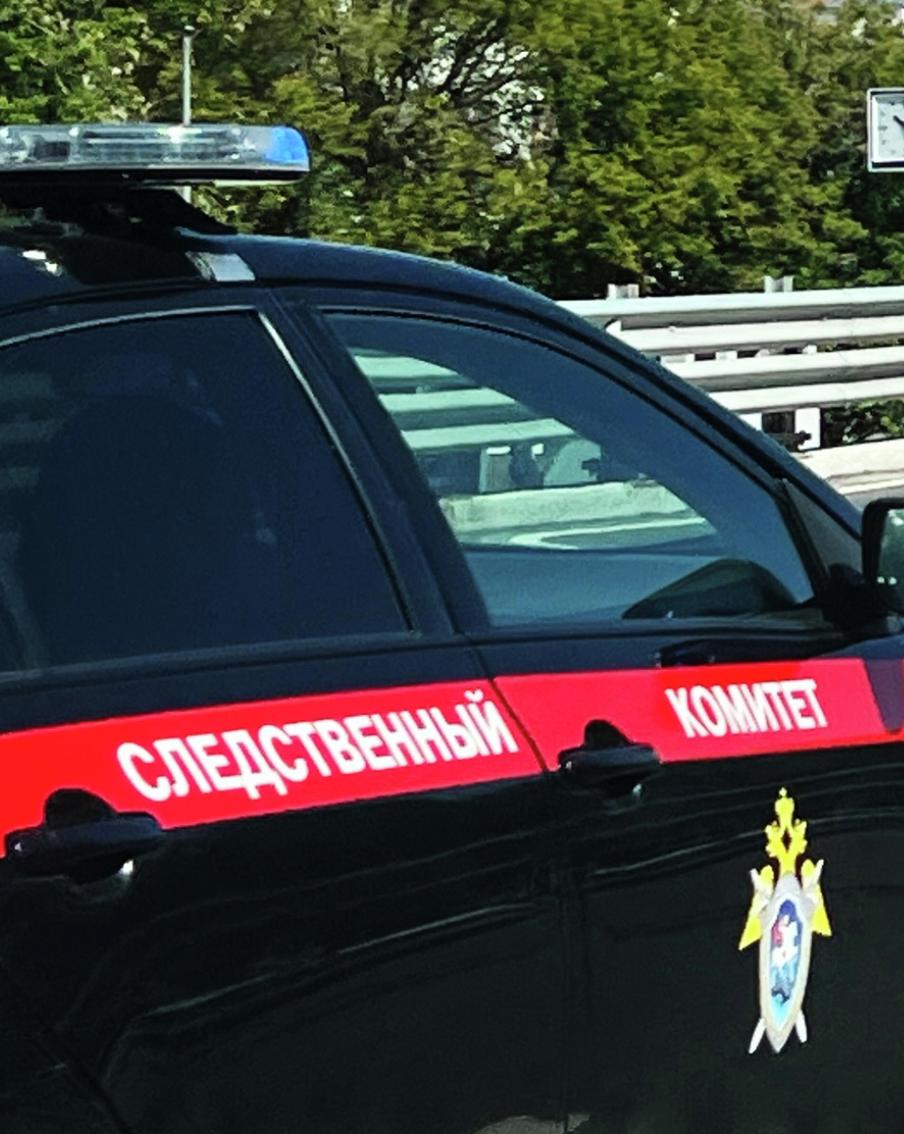 В Москве возбуждено уголовное дело в отношении Александра Алиева