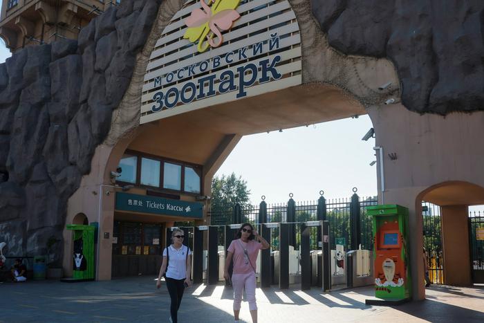 Спасённый в ЛНР медведь осваивает новый вольер в Московском зоопарке