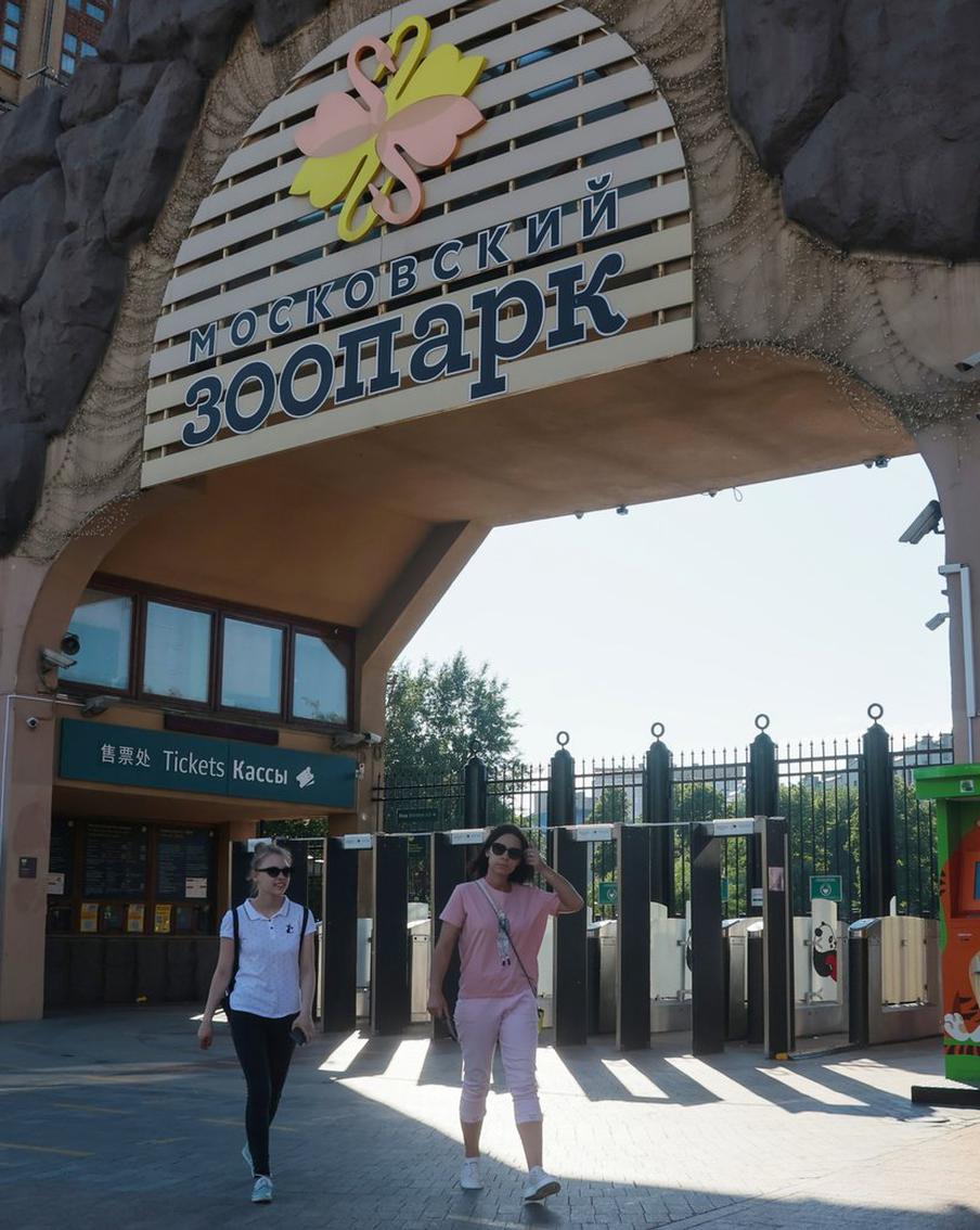 Спасённый в ЛНР медведь осваивает новый вольер в Московском зоопарке