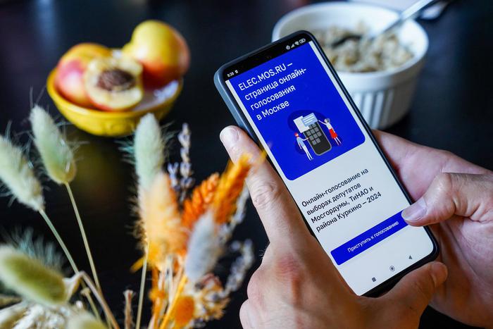 Выборы в Мосгордуму проходят с соблюдением московских стандартов голосования