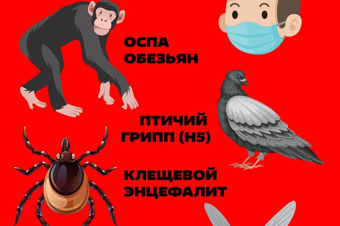 Ковид ещё "цветочки": как человечеству ответить на очередной вызов природы