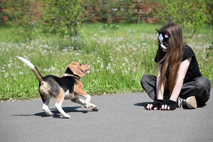 Сенатор Косихина предложила запретить в России субкультуру квадроберов