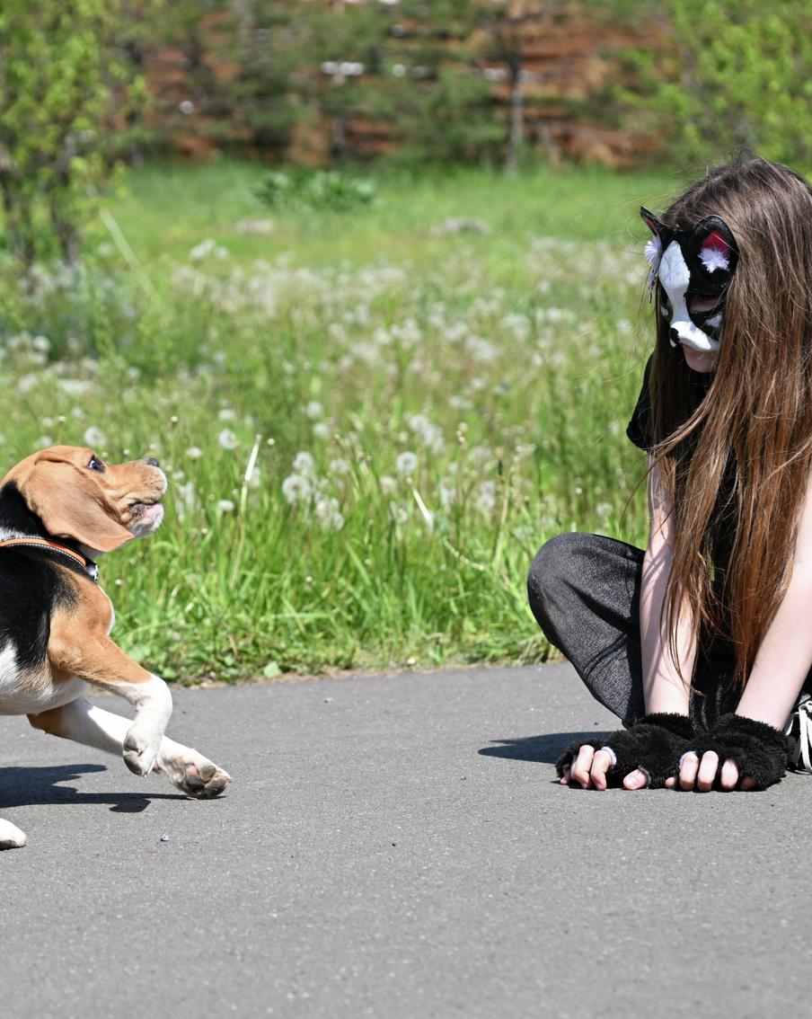 Сенатор Косихина предложила запретить в России субкультуру квадроберов