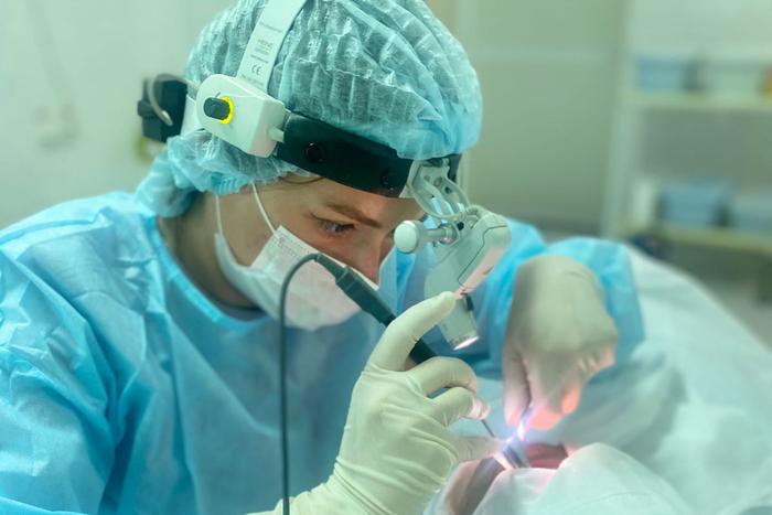 Подмосковный врач рассказала, как извлекать тараканов из головы