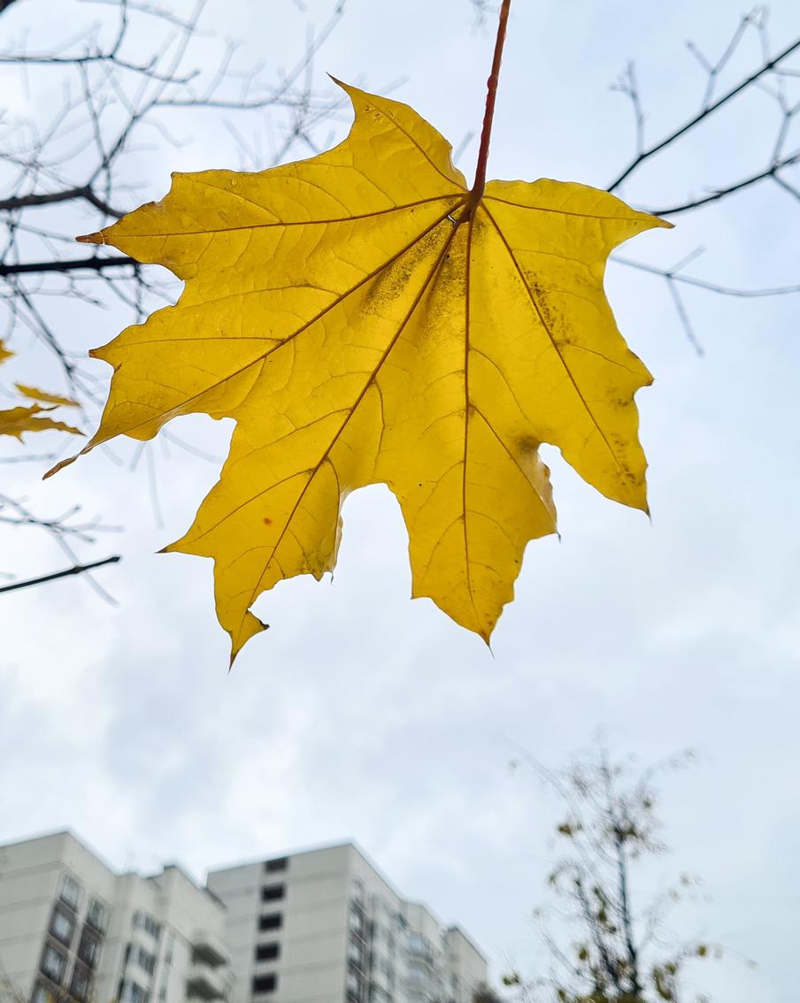 Москвичей предупредили о приходе в столицу похолодания уже на следующей неделе