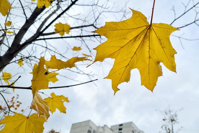 Москвичей предупредили о приходе в столицу похолодания уже на следующей неделе