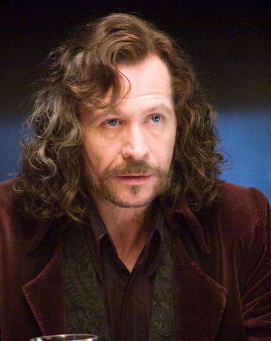 Крёстный Гарри Поттера хочет стать Дамблдором в новом сериале