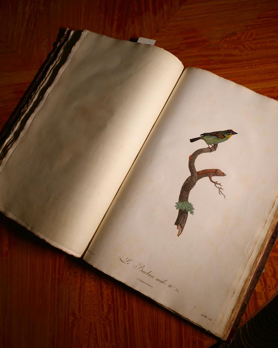 Библиотека Политеха хранит уникальные книги. Среди них учебник Ньютона, альбом с автографом Эйфеля и книга с медными птицами