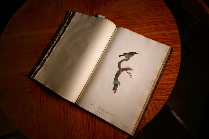 Библиотека Политеха хранит уникальные книги. Среди них учебник Ньютона, альбом с автографом Эйфеля и книга с медными птицами