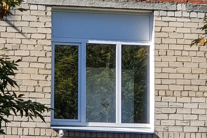 Челябинская школа, в которой произошло ЧП, почти не охранялась. По словам очевидцев, мальчика в школе обижали