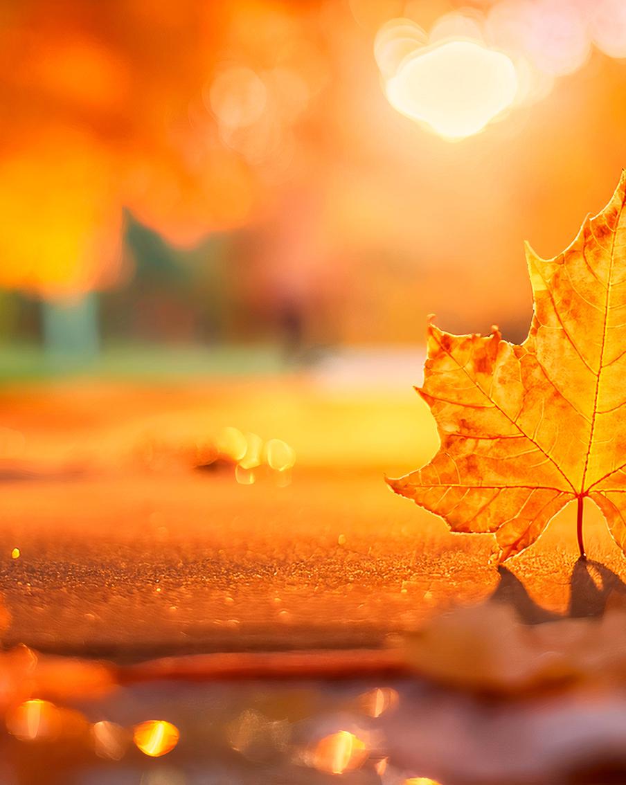 Осень на пороге: когда начнут опадать листья и пройдут первые заморозки