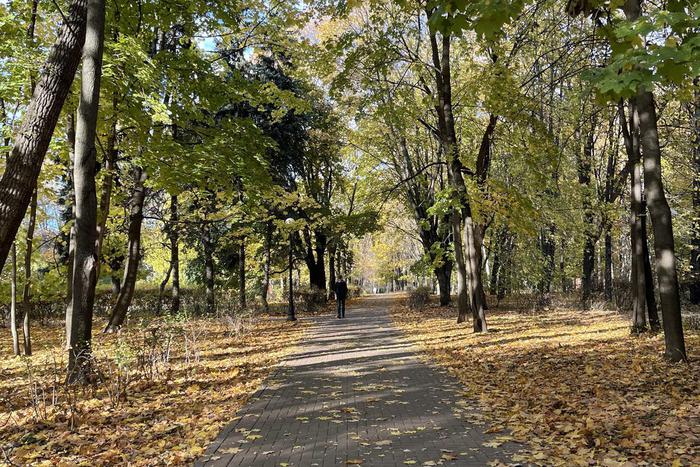 Синоптик рассказал, когда в Центральной России начнётся бабье лето