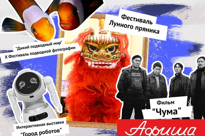 Чем заняться в столице: открываем театральный сезон, едим лунные пряники и встречаем осень всей семьёй