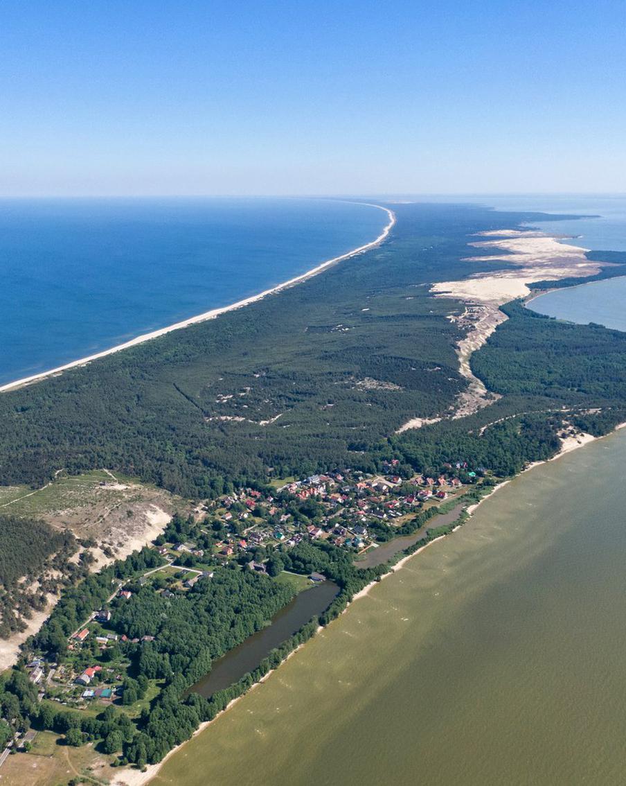 Почему застройка Куршской косы приведёт к массовой гибели птиц