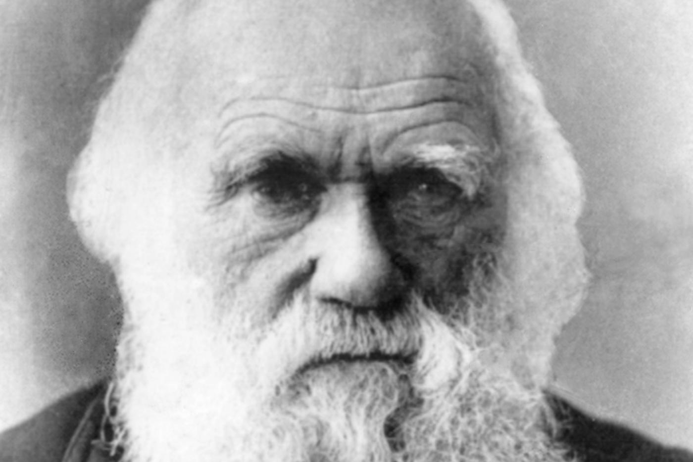 Вассерман и Милонов рассказали, нужно ли убирать из школьной программы теорию Дарвина