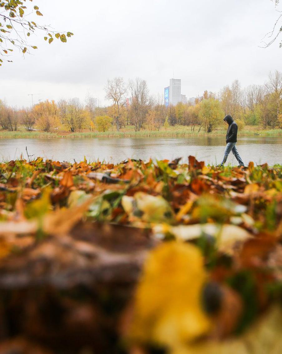 Синоптик рассказала, какая погода будет ожидать жителей столицы на следующей неделе