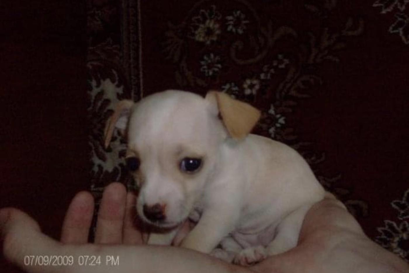 Наде 1,5 месяца. Еще в семье своей мамы сделана фотография.